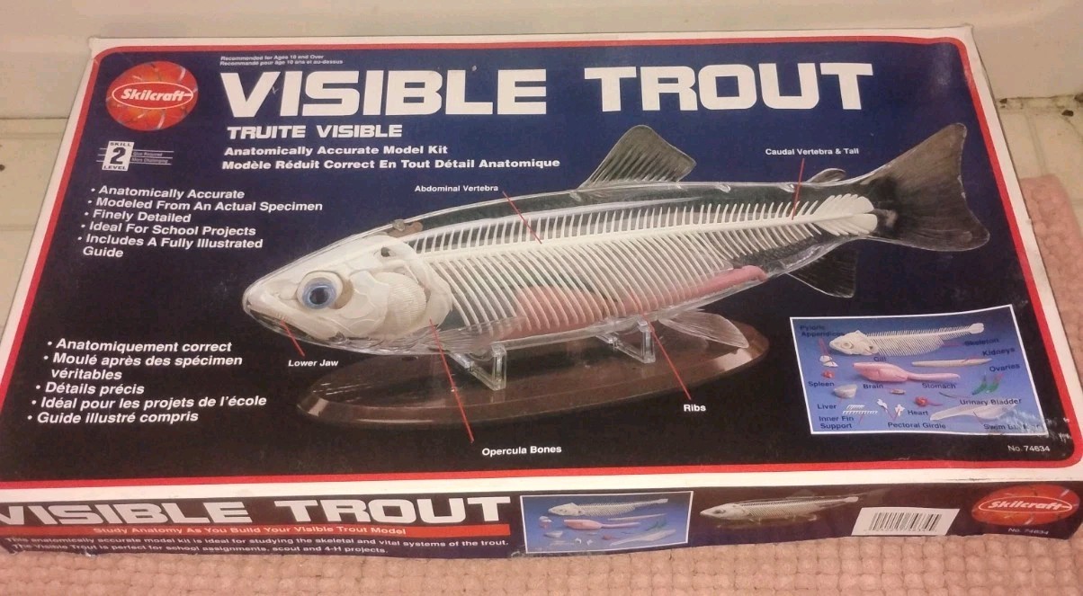 Vintage Skilcraft Visible Trout 74634 Anatomy Model Kit Complete New Open Box