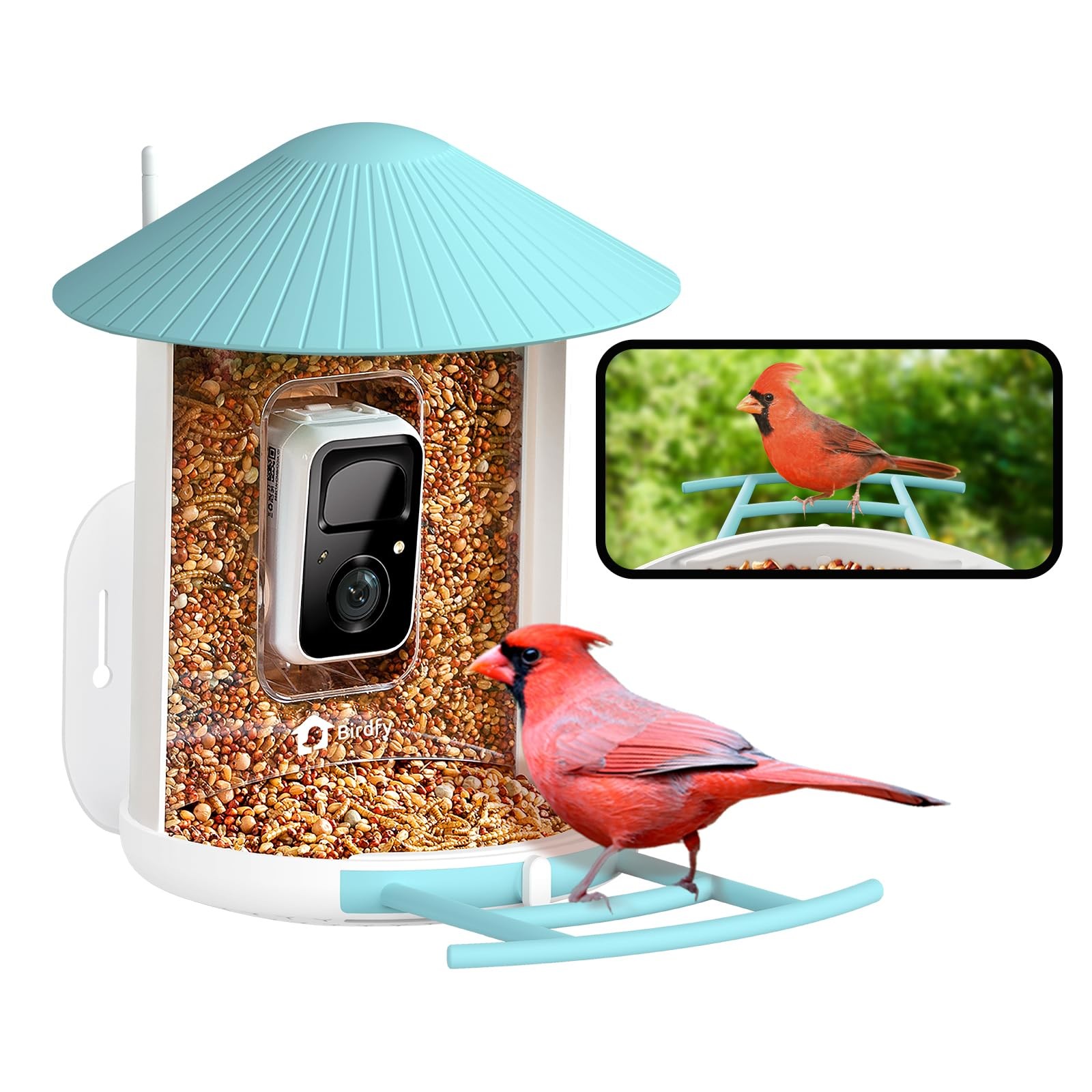 NETVUE by Birdfy Smart Bird Feeder with Camera Bird Watching Camera Auto Capture