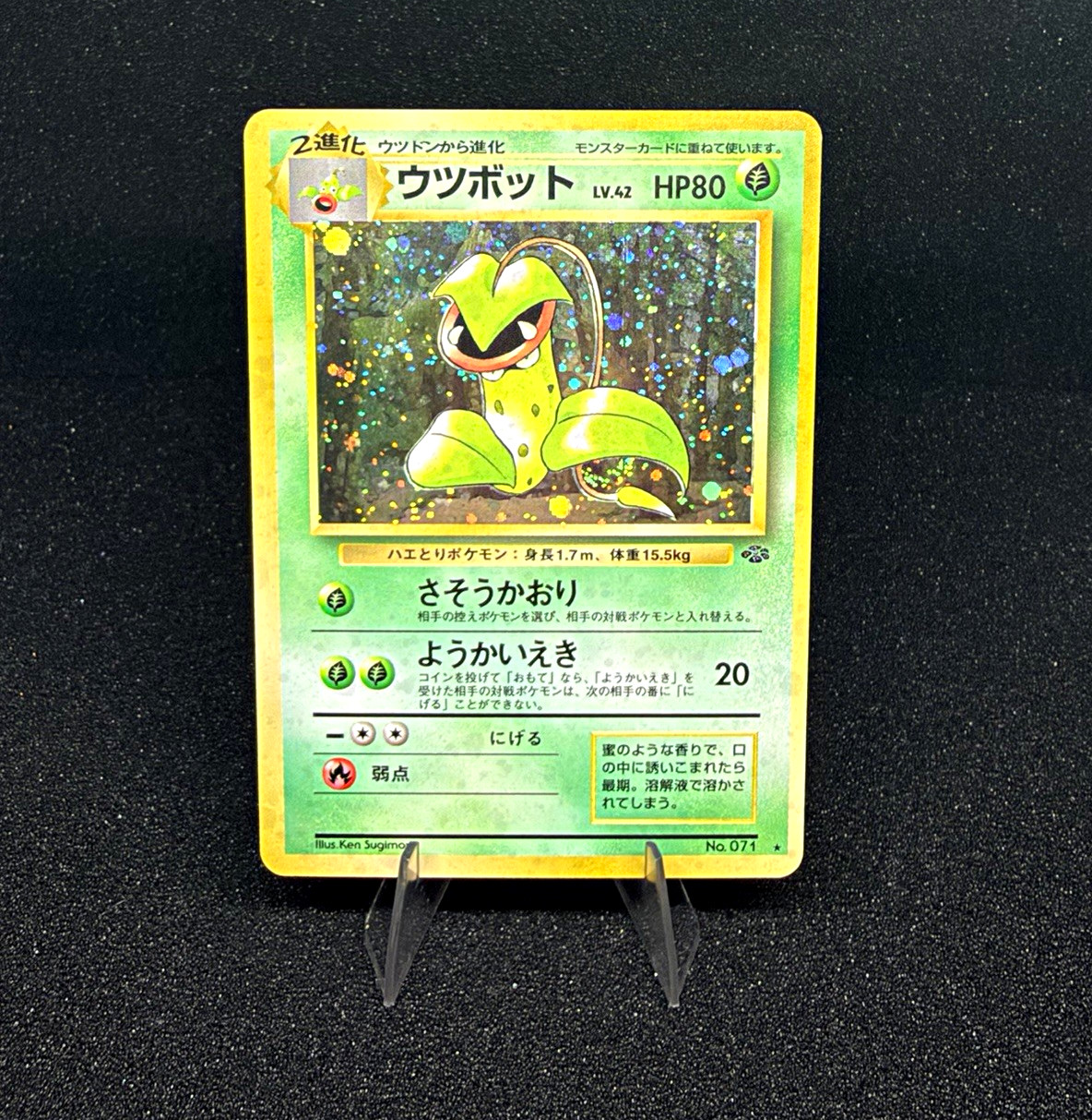Pokemon Company Victreebel Jungle #14/64 Holo Rare 80 HP English Unlimited