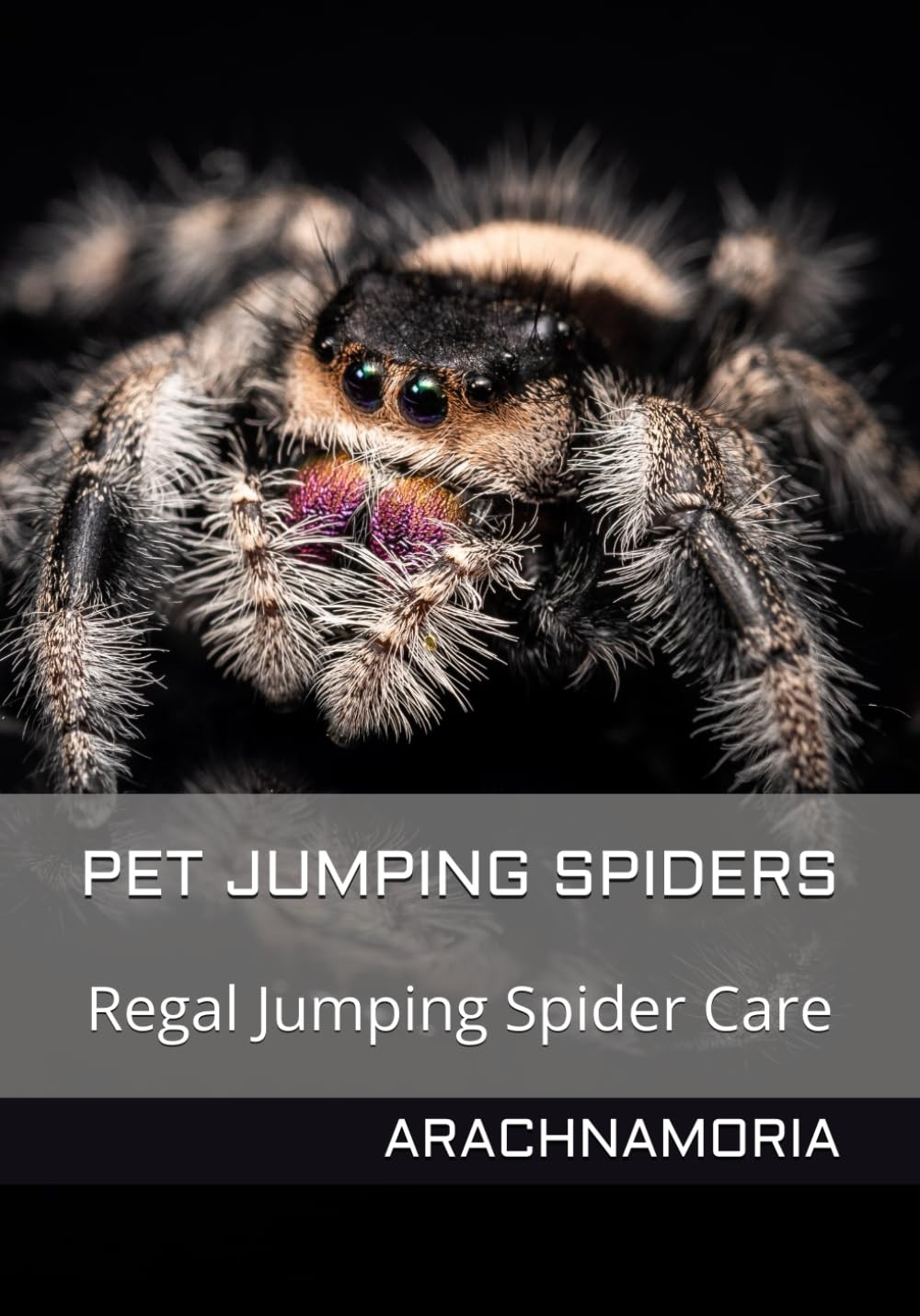 Pet Jumping Spiders: Regal Jumping Spider Care by Arachnamoria Sian Black Pet Jumping Spiders: Regal Jumping Spider Care by Arachnamoria Sian Black