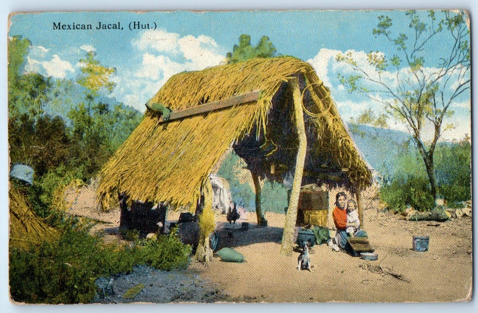 Mexico Postcard Mexican Jacal (Hut) and Residence Dog Animals c1910 Antique