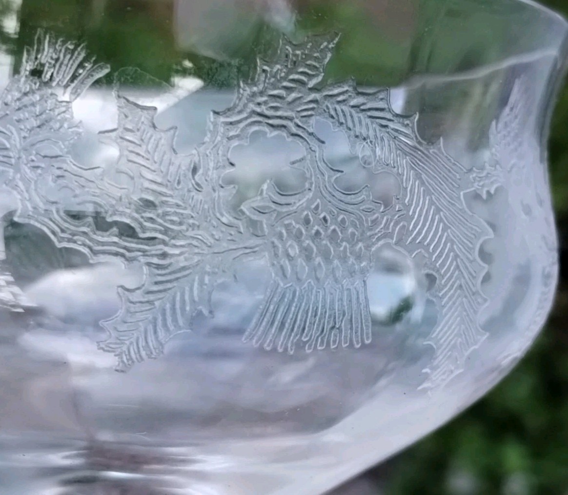 Set of 12 Antique Central Glass Works Thistle Needle Etched Champagne..RARE