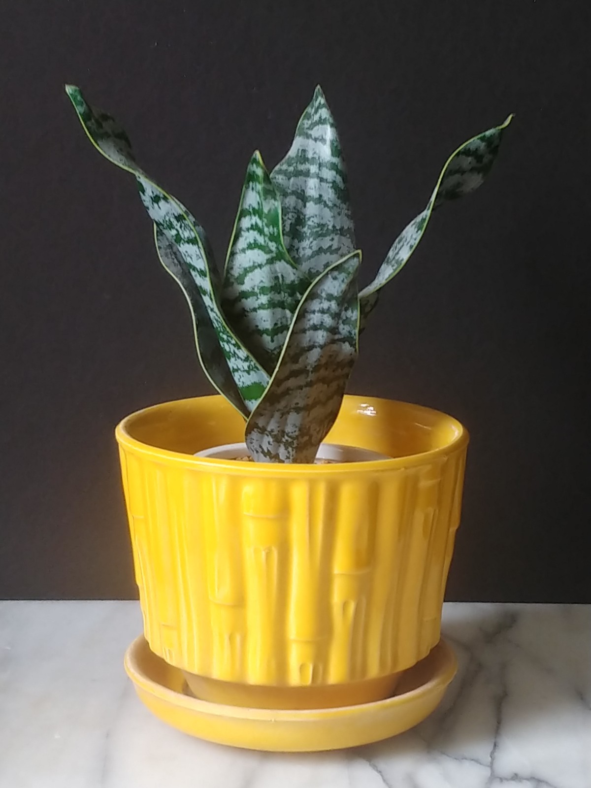 Vtg MCCOY Yellow Bamboo Planter #0373 flower pot