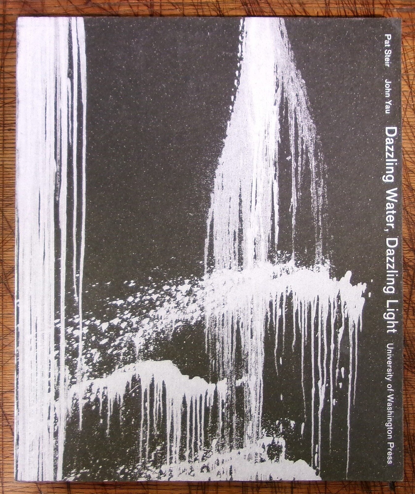 Pat Steir, John Yau / Dazzling Water Dazzling Light 1st Edition 2000