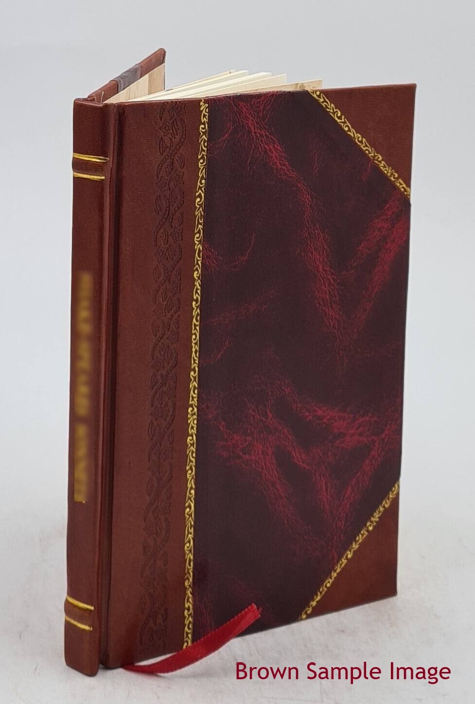 Rambles In Books 1893 By Charles Francis Blackburn [Leather Bound]