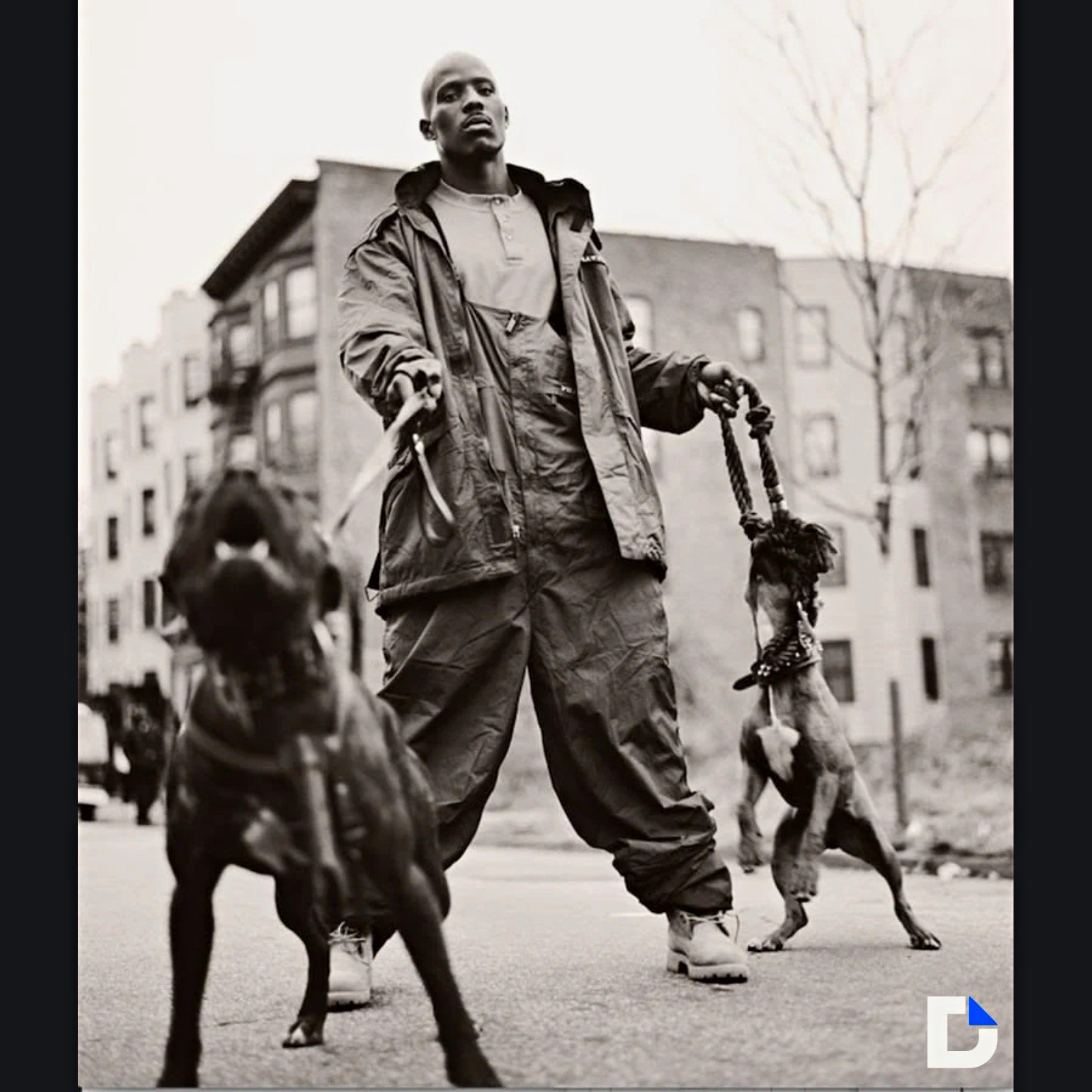 DMX Yonkers ‘97 – Classic Hip Hop Photography 8x10 Photo Print