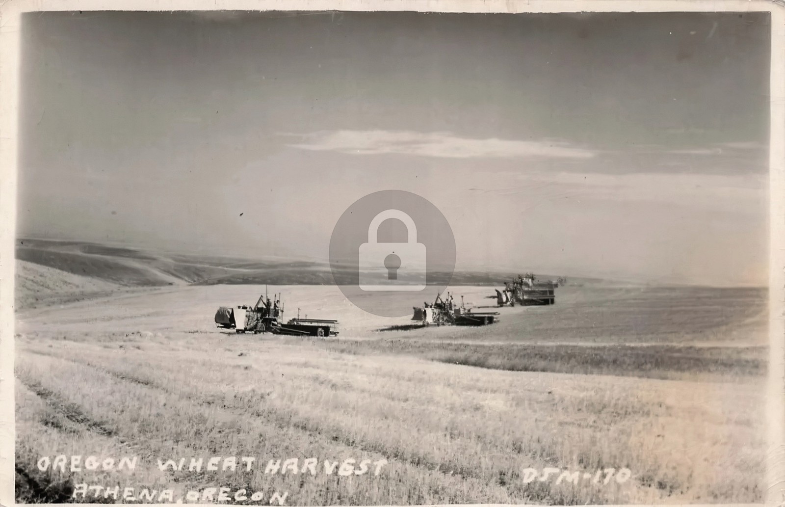 Athena Oregon Wheat Farm Harvest Tractor Farming RPPC Photo Postcard COPY Athena Oregon Wheat Farm Harvest Tractor Farming RPPC Photo Postcard COPY