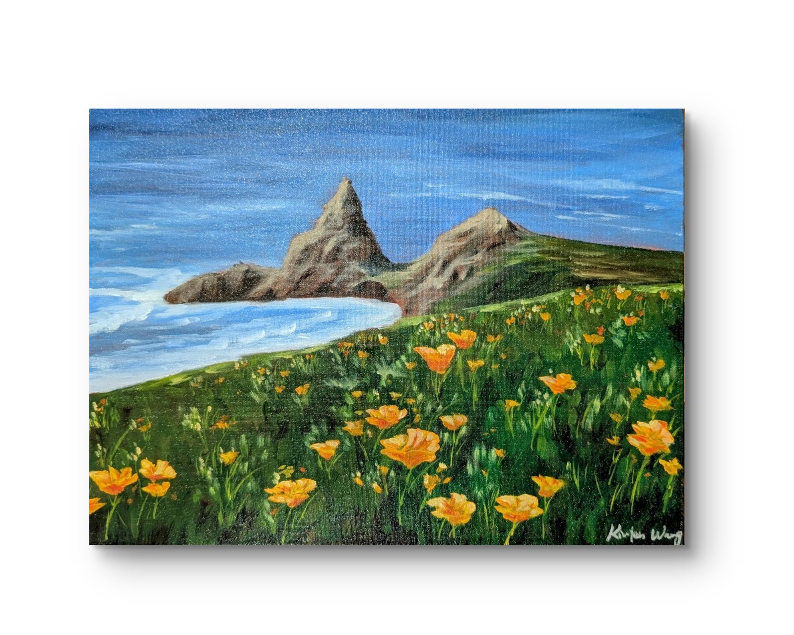 Original Oil Painting - California Big Sur Wild Poppy Flowers 16*12