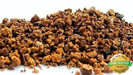 Wild Canadian Dry Chaga Mushroom Tea Chunks Nuggets 9 oz From Living Birch Trees