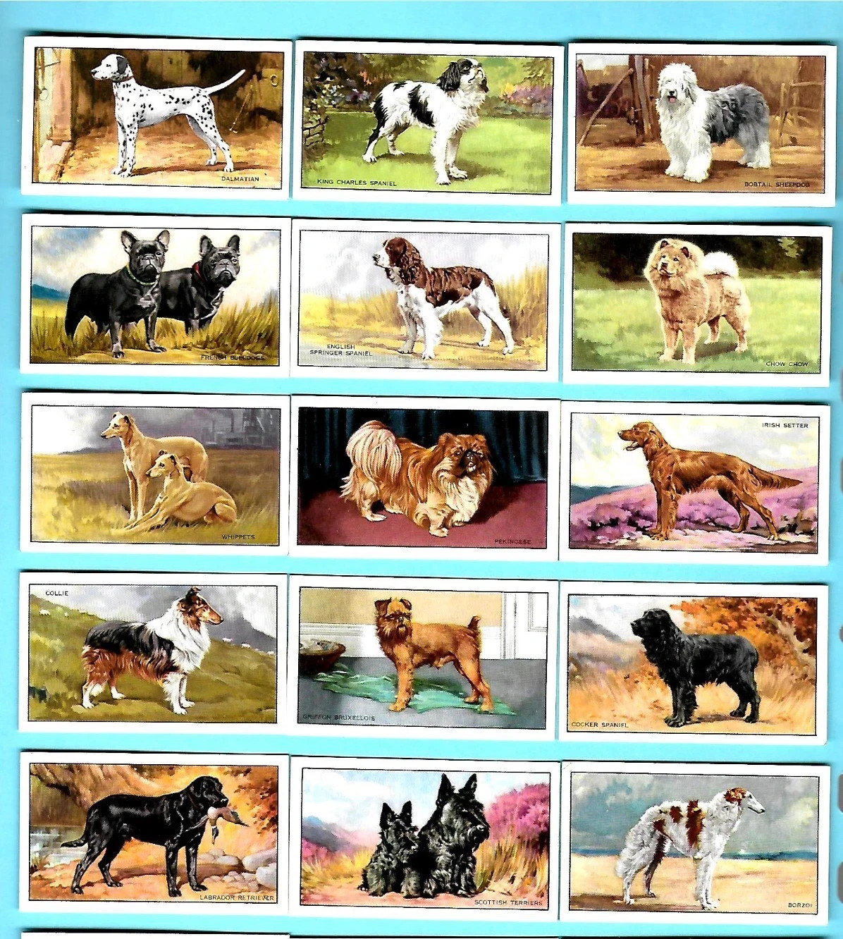 1936 GALLAHER LTD. DOGS 48 DIFFERENT TOBACCO CARD SET