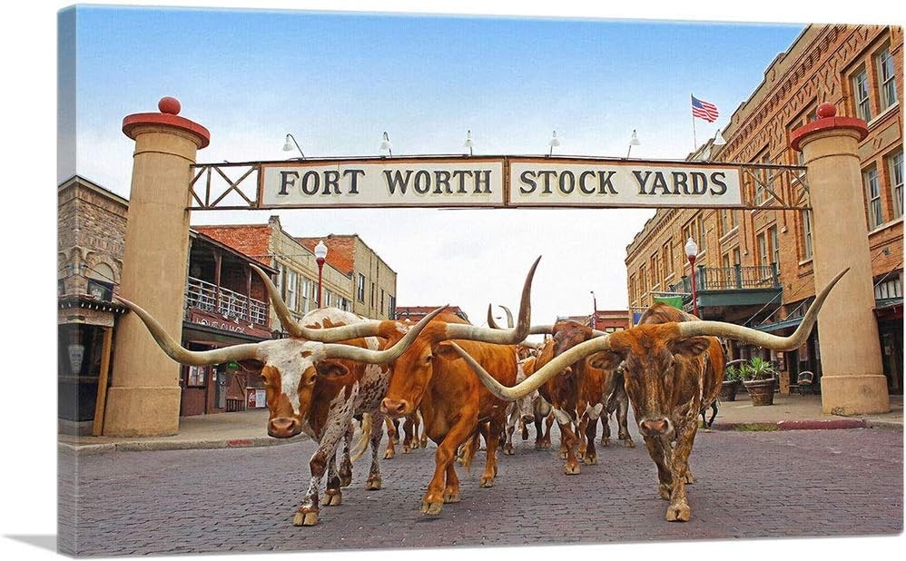 Fort Worth Longhorn Steers Texas Bulls Stock Yards Canvas Art  Poster