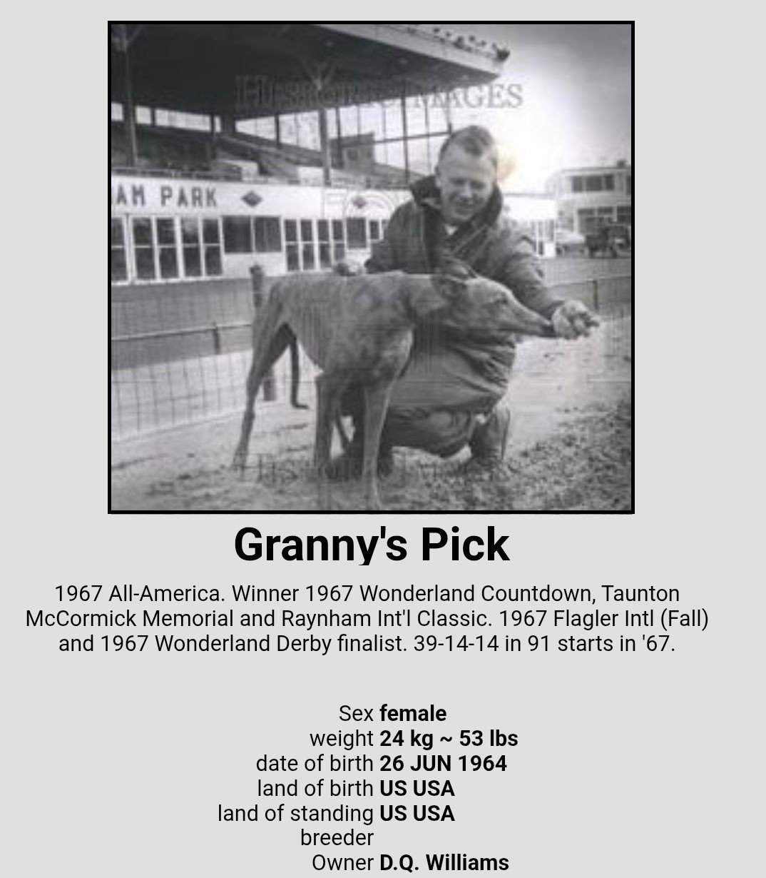 Ultra-Rare 1967 All-American Greyhound \