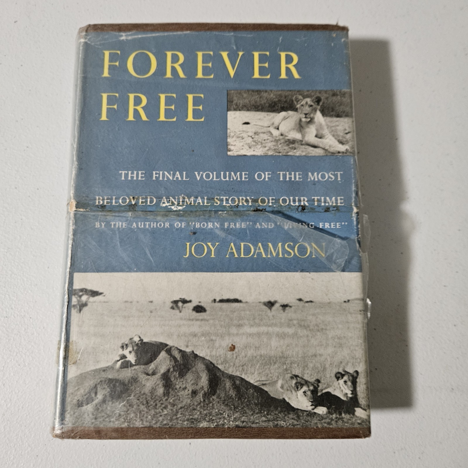 Forever free by Joy Adamson First American Edition 1963 with DJ