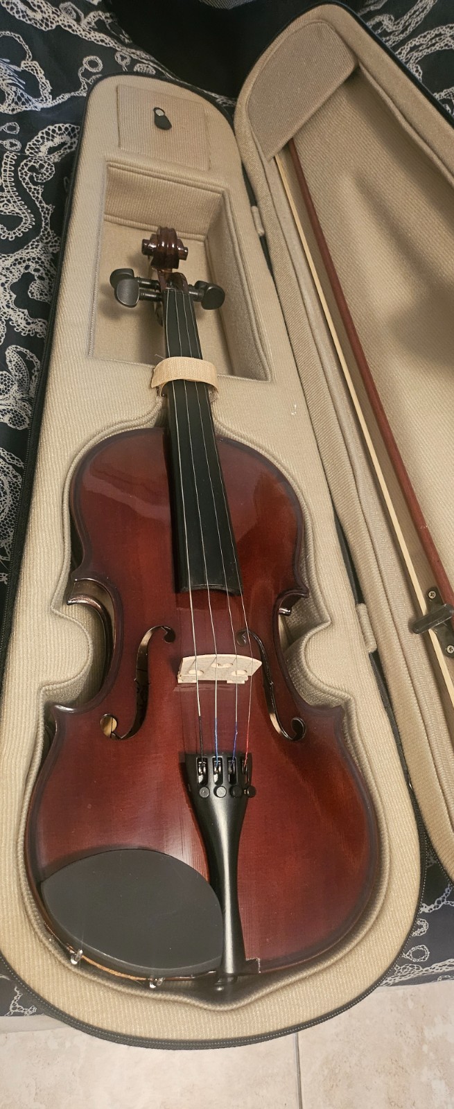 Palatino VN-350 3/4 Student Violin w/ Bow Case Hand Carved Acoustic