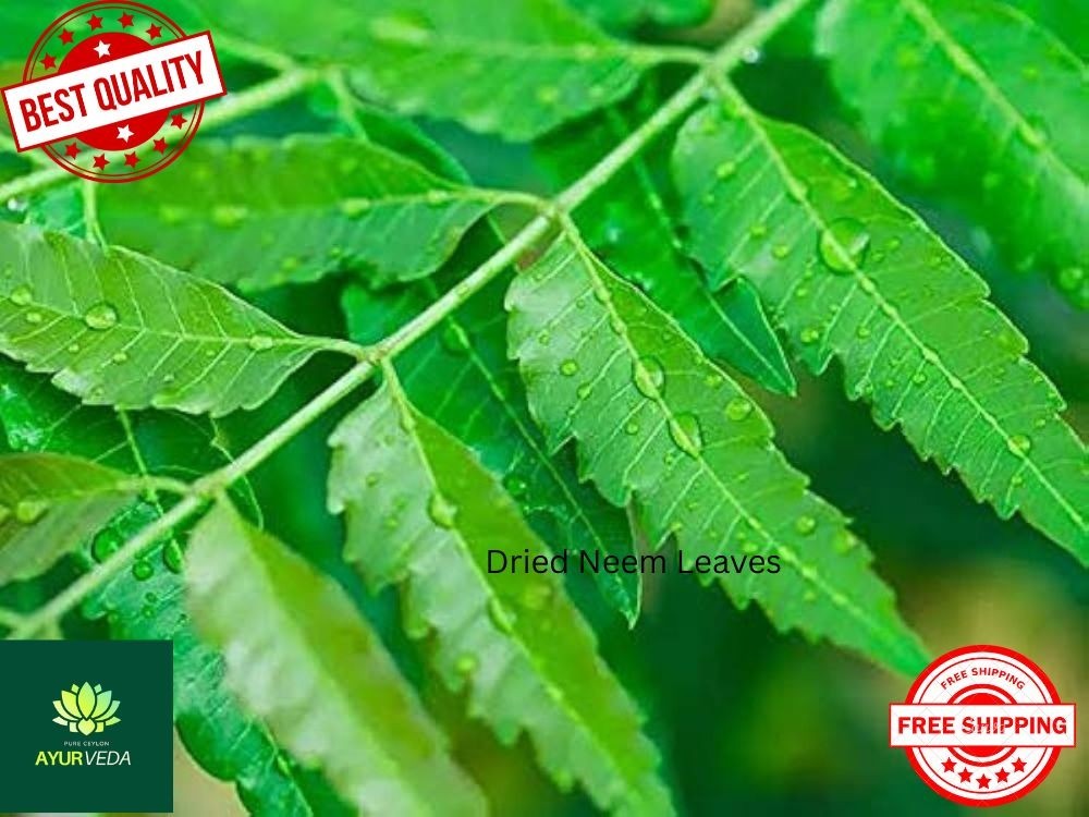 Freshly Picked Dried NEEM LEAVES Herbal Pure Organic Premium Quality Herb