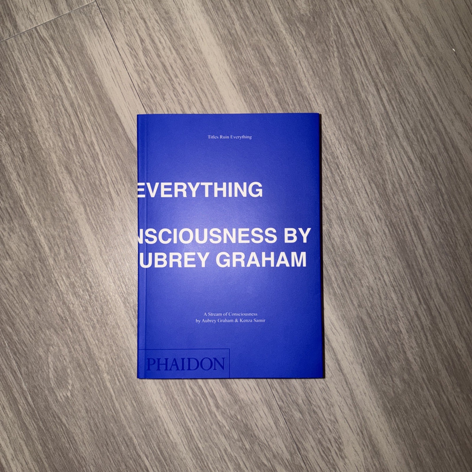 DRAKE TITLES RUIN EVERYTHING: A STREAM OF CONSCIOUSNESS *IN HAND MINT U.S. Sellr