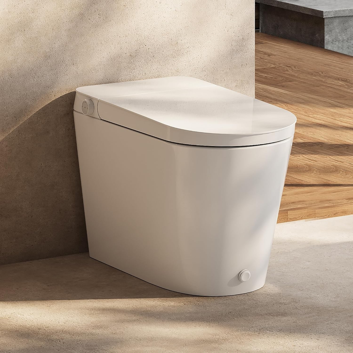 HOROW Non-Electric Bidet Toilet Tankless One-Piece Elongated Toilet Auto Flush HOROW Non-Electric Bidet Toilet Tankless One-Piece Elongated Toilet Auto Flush