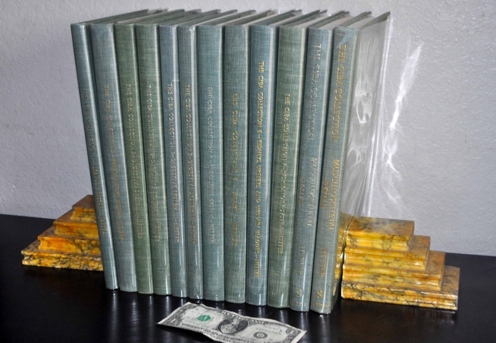 Frank Netter THE CIBA COLLECTION OF MEDICAL ILLUSTRATIONS 12-Book 8-Volume Set