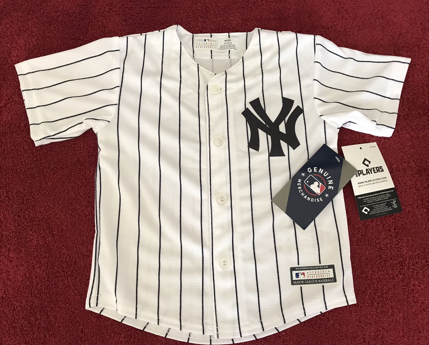 NY Yankees Kid\'s Jersey Size 2T Aaron Judge #99 MLB Genuine Merchandise NWT