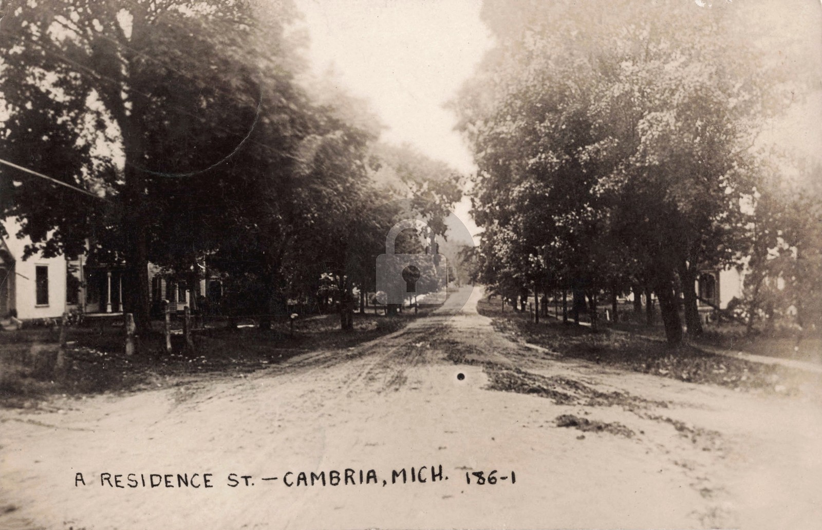 Street View A Residence St., Cambria MI Michigan 1910 RPPC Photo Postcard COPY Street View A Residence St., Cambria MI Michigan 1910 RPPC Photo Postcard COPY