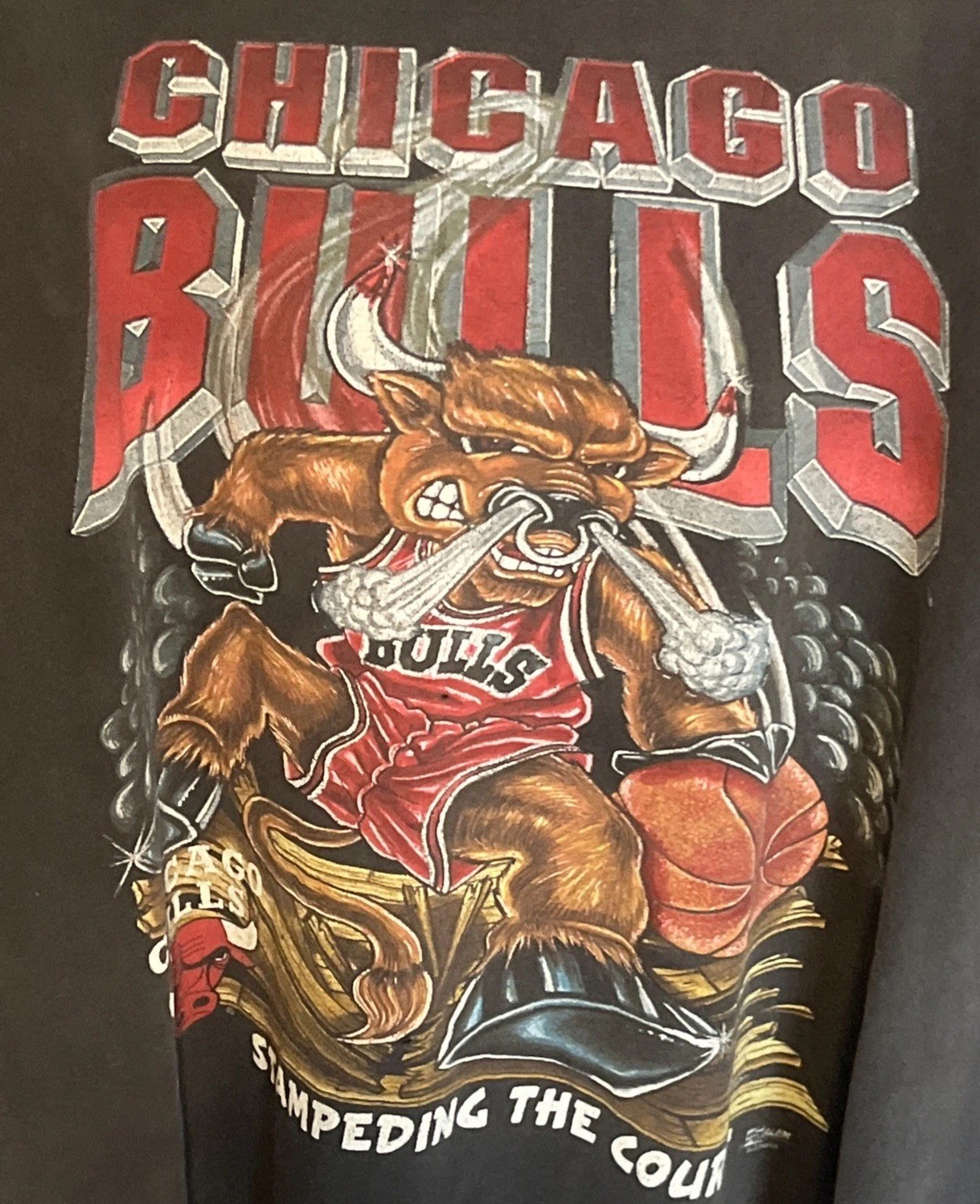 Vintage 90s Chicago Bulls Salem T-Shirt XL Stampeding Court NBA Distressed