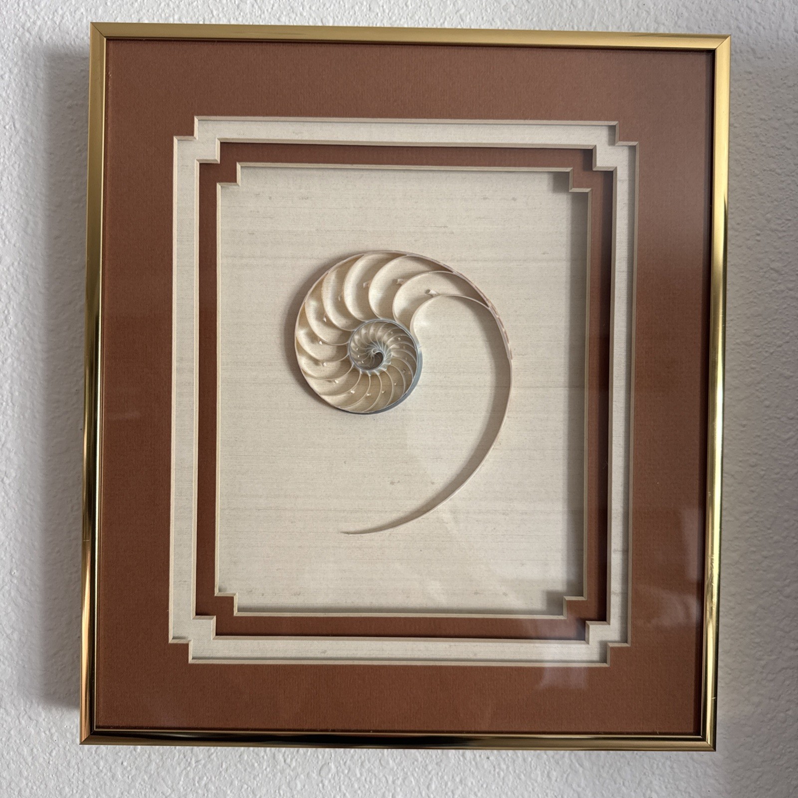 RARE Vintage Nautilus Sliced Seashell in Custom Gold Framed & Matted 13”x12” Art
