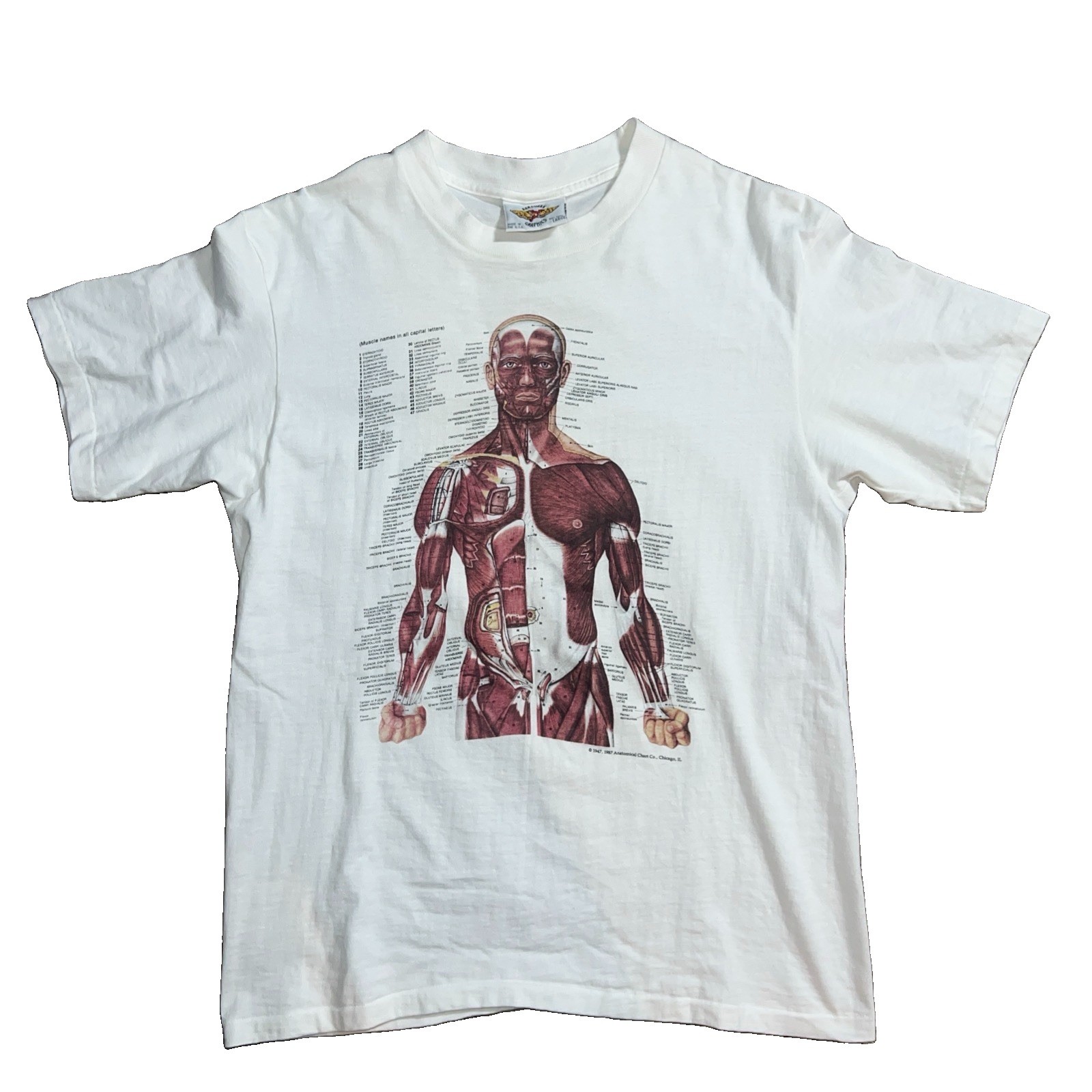 Vintage Anatomy Kurt Cobain Shirt Aardvark Tag Original Large