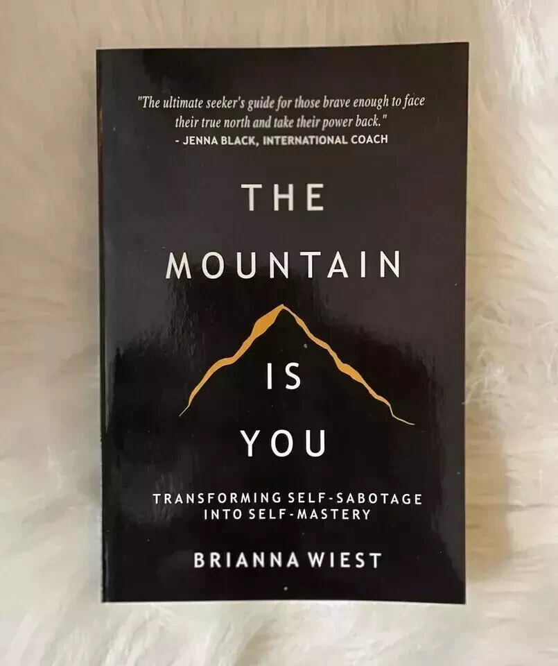 THE MOUNTAIN IS YOU BY BRIANNA WIEST PAPERBACK 