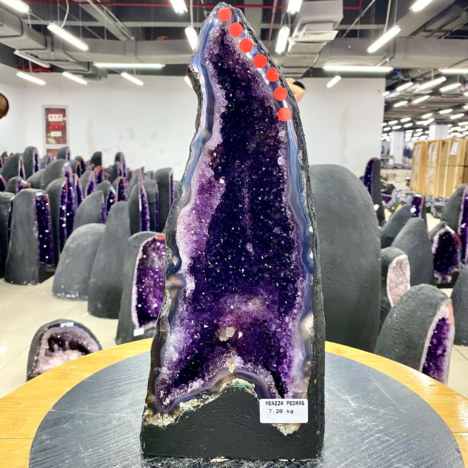 16.01LB Natural Amethyst Cathedral English Cluster Crystal Specimen Healing