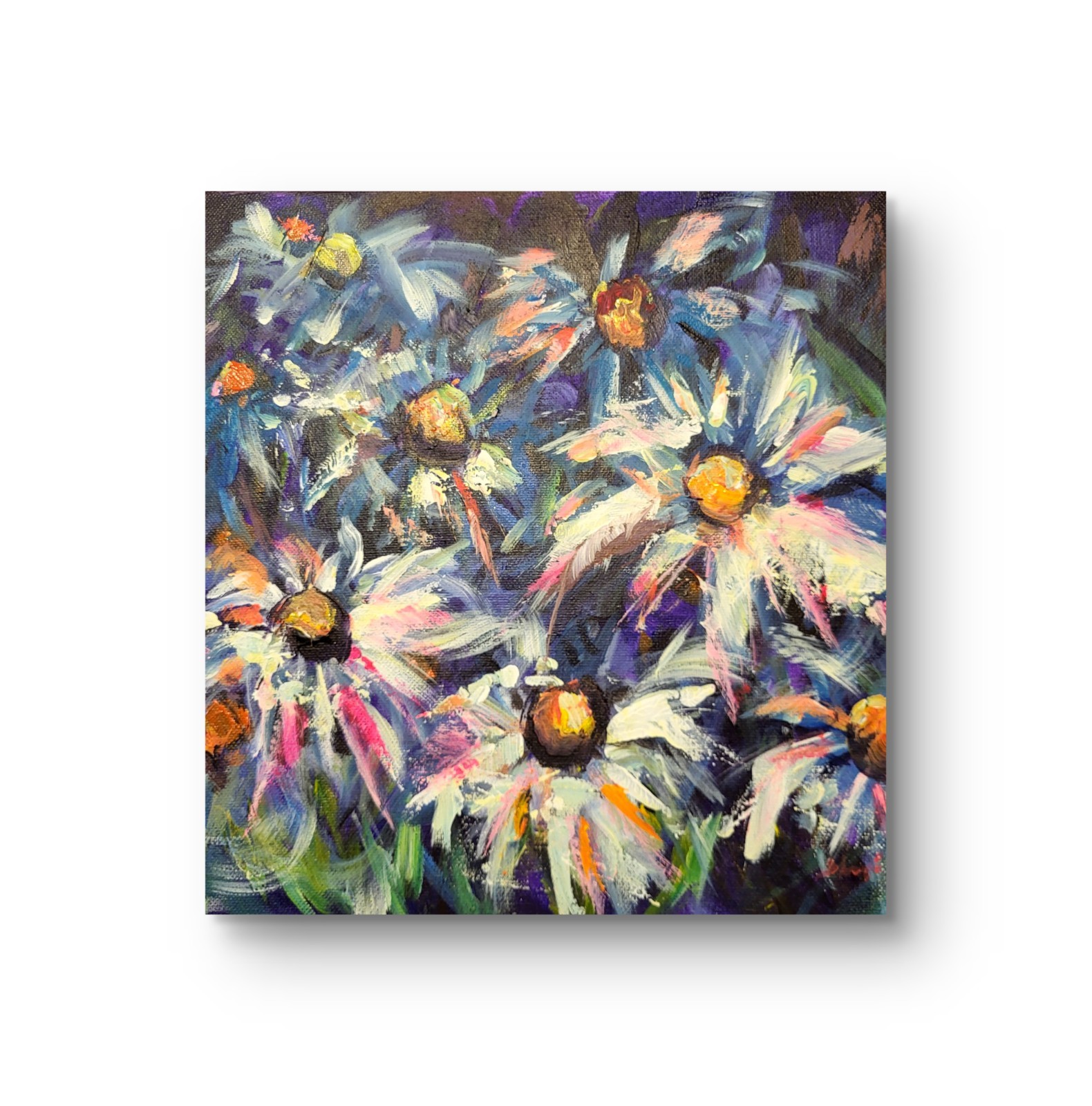 12 X 12 Loose Floral Acrylic Original Painting On Gallery Canvas, Daisies 12 X 12 Loose Floral Acrylic Original Painting On Gallery Canvas, Daisies