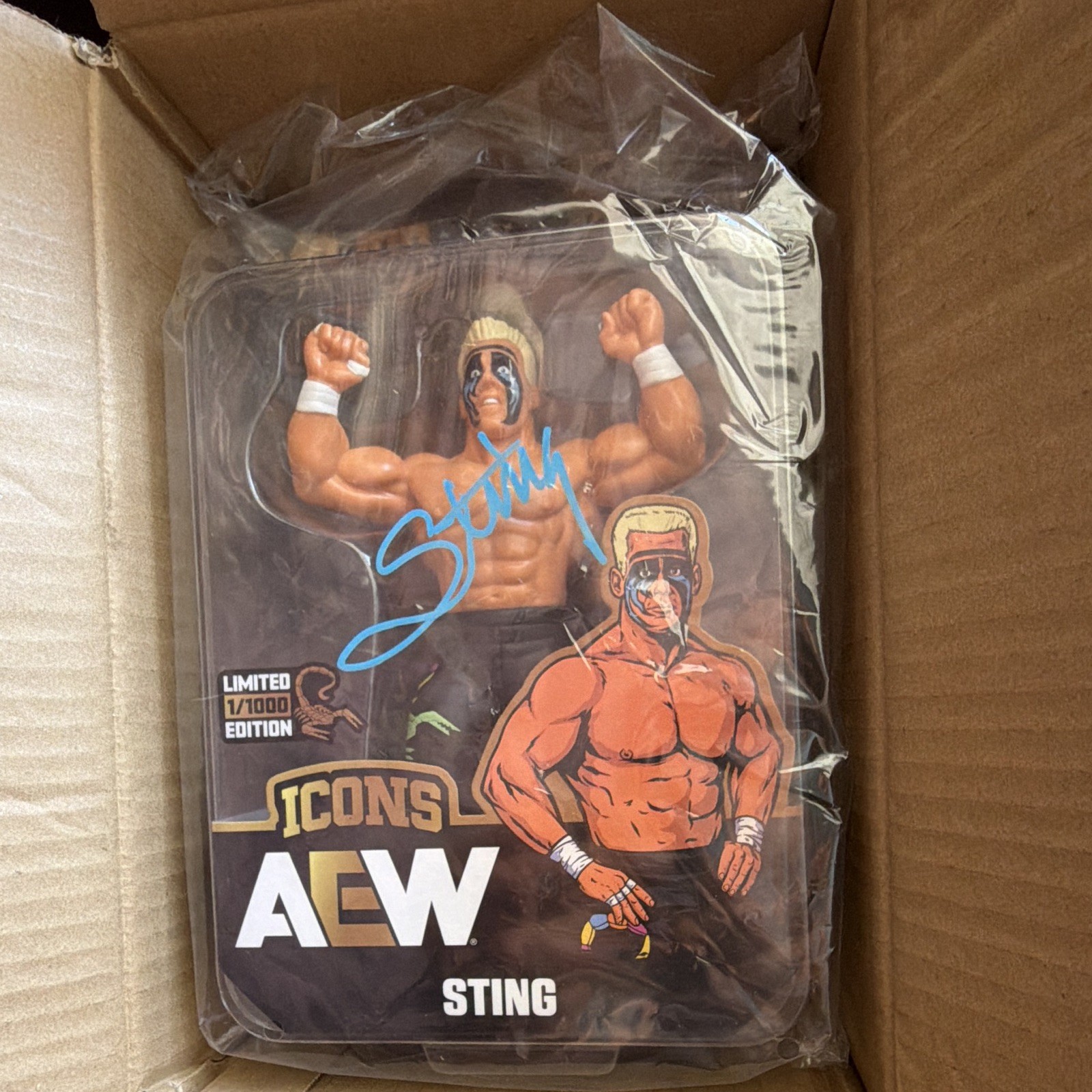 Sting wrestle Con Exclusive Autographed Package Sting wrestle Con Exclusive Autographed Package