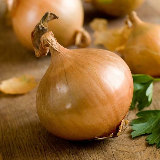 1000 Texas Early Grano Onion Seed - Heirloom Non-GMO Onion Seeds - FAST Growing