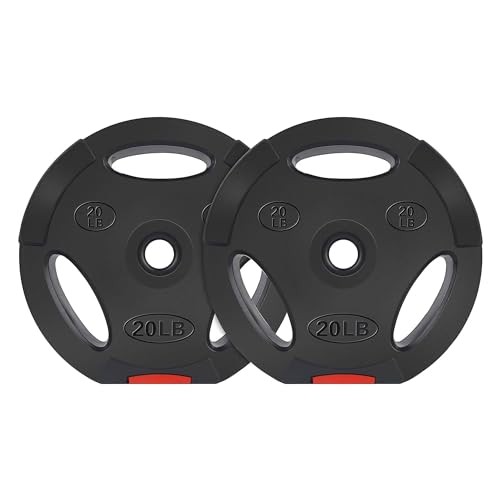 Fitvids Vinyl Standard 1-Inch Plate Weight Plate for Strength 20-Pound, Pair