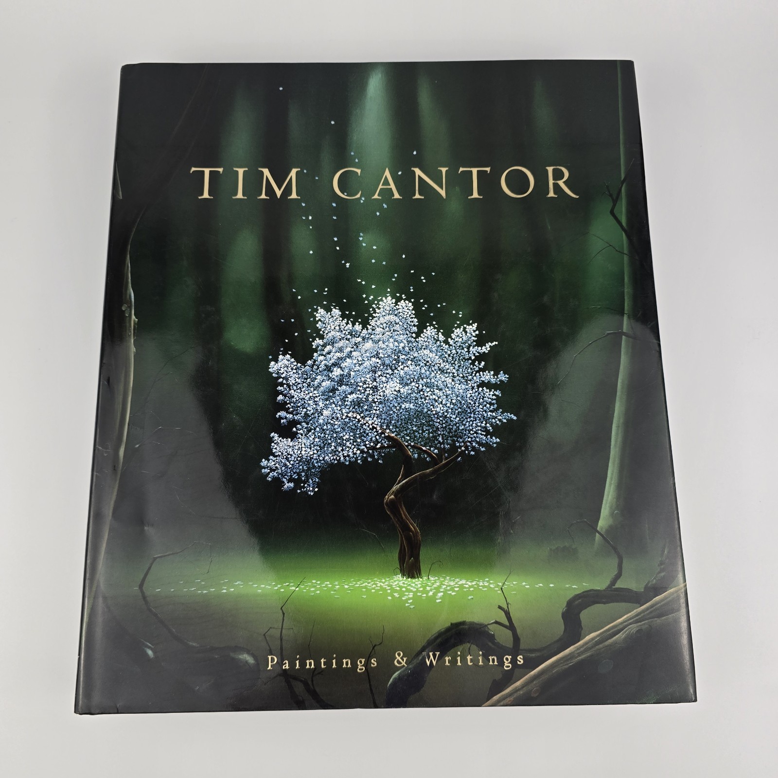Tim Cantor: Paintings and Writings, Book II, 2012 Hardcover
