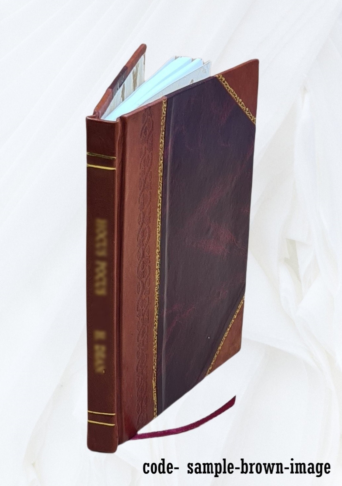 The Organ-Cases And Organs Of The Middle Ages And Renaissance 1883 Leather Bound