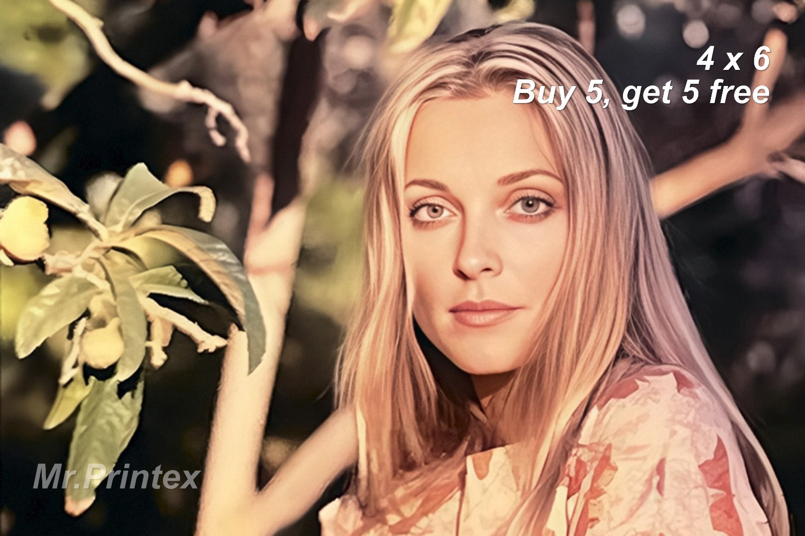 SHARON TATE - 1960s Actress Photo 💙 4x6 Photo - Hollywood Glamour Portrait