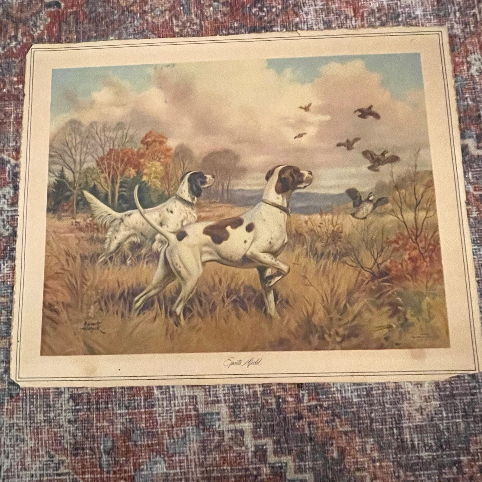 Vtg Emmett Watson English Setter Hunting Dog Sports Afield Print 15.5\