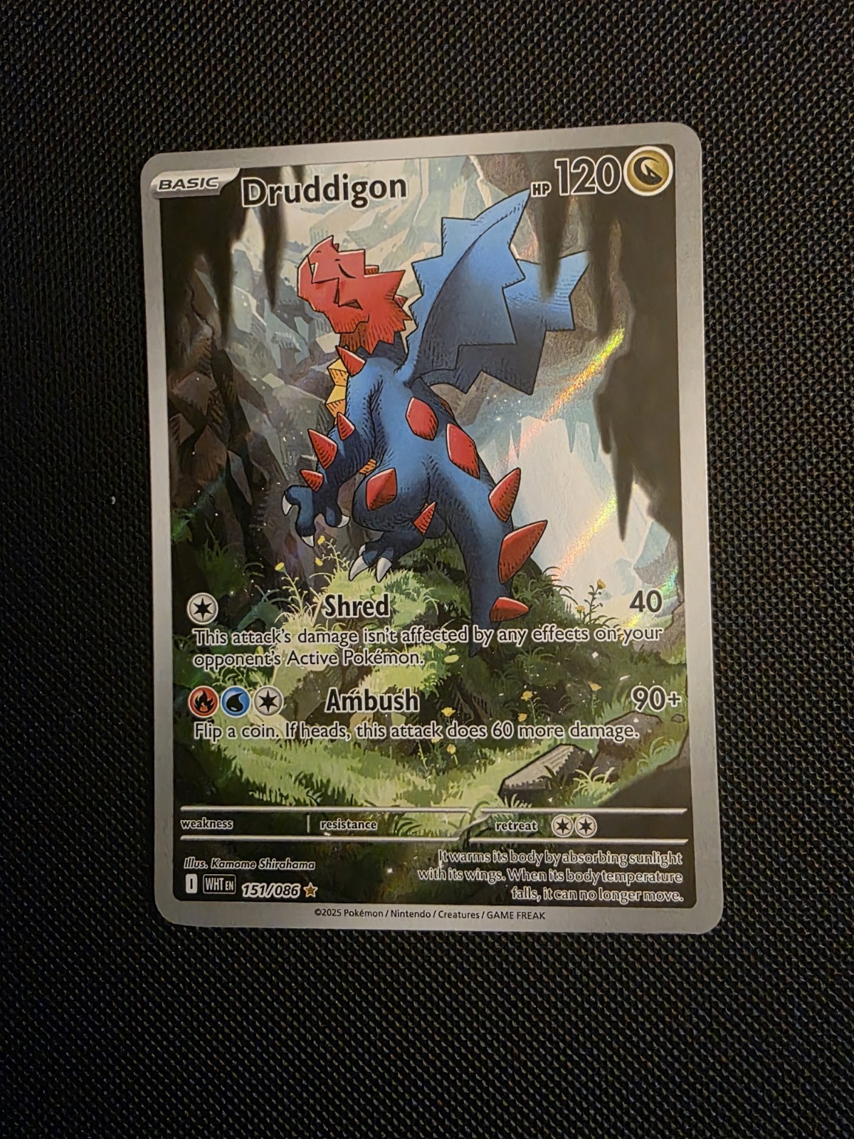 Pokemon Co. Druddigon 151/086 SV: White Flare Illustration Rare Holo English