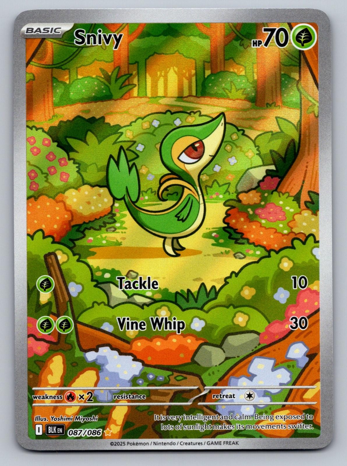 Snivy 087/086 Holo Illustration Rare Black Bolt Pokemon Near Mint Snivy 087/086 Holo Illustration Rare Black Bolt Pokemon Near Mint