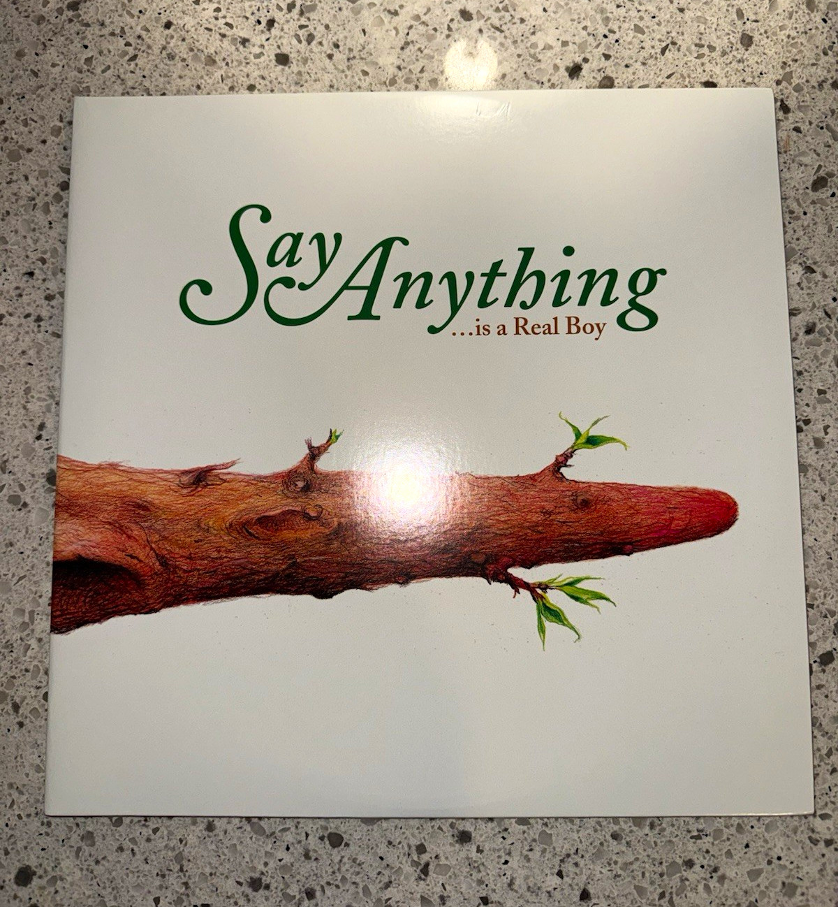 Say Anything ...is a Real Boy Vinyl Record LP Doghouse Record Label Say Anything ...is a Real Boy Vinyl Record LP Doghouse Record Label