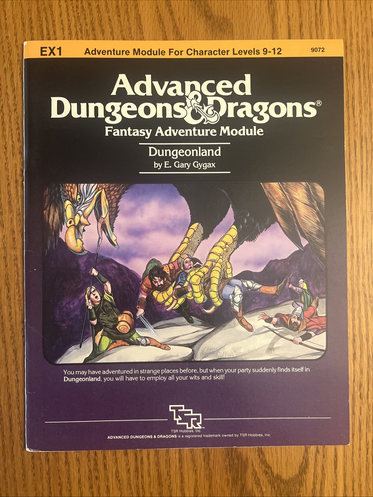 NM- EX1 DUNGEONLAND 1983 Dungeons & Dragons 1st Edition Gary Gygax