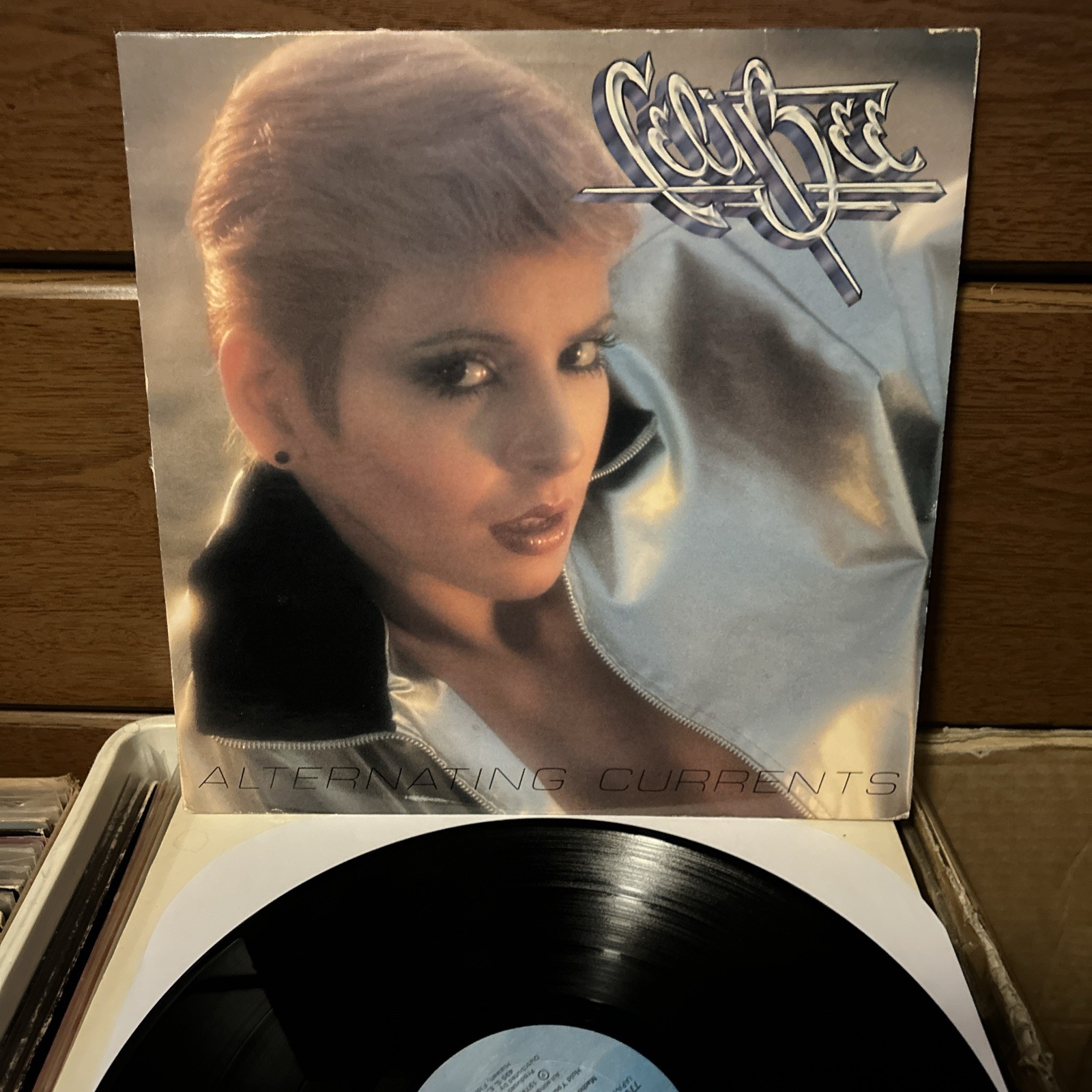 Alternating Currents Celi Bee & The Buzzy Bunch - Vinyl 33RPM LP Album 1978 Vg+ Alternating Currents Celi Bee & The Buzzy Bunch - Vinyl 33RPM LP Album 1978 Vg+