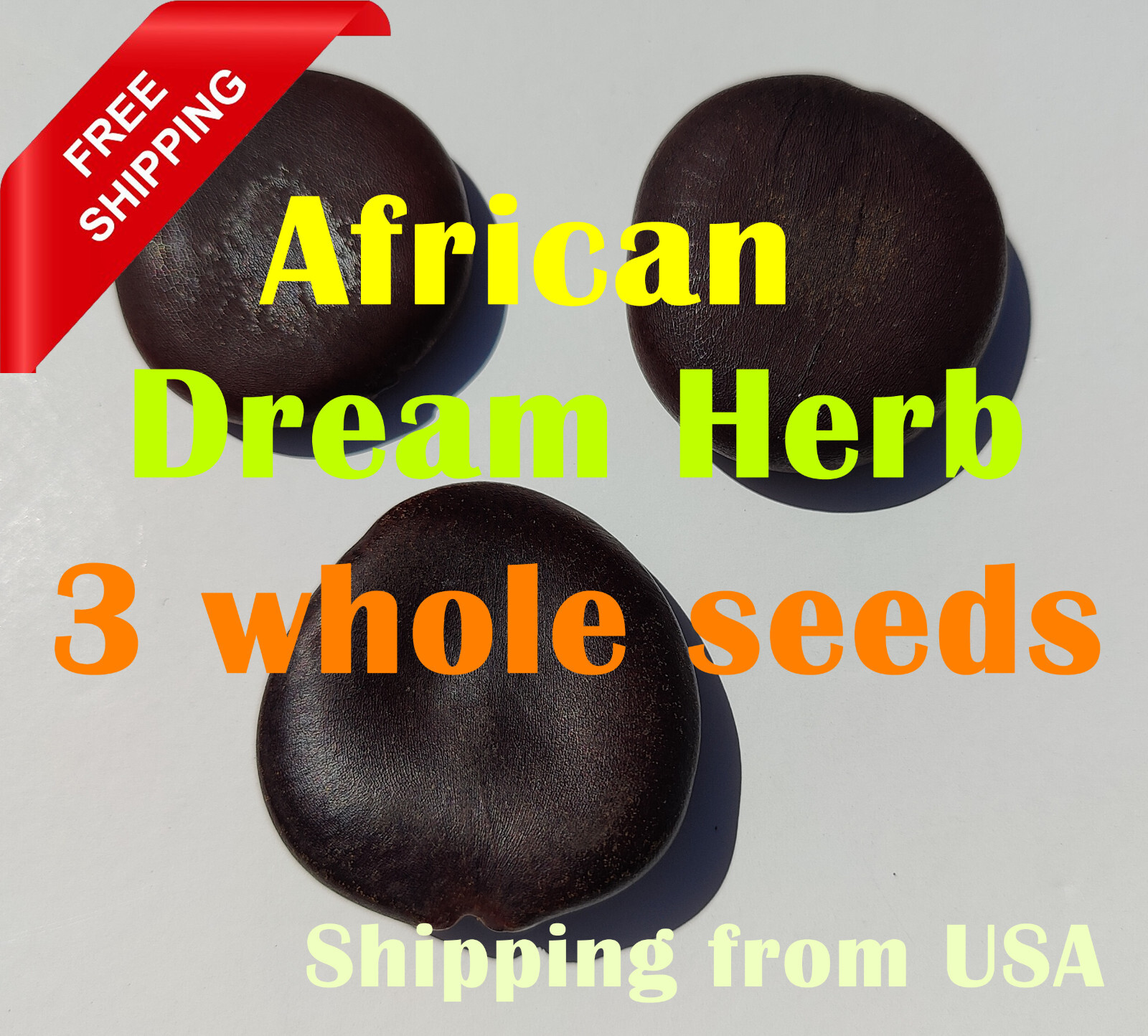3 African Dream Herb Entada rheedii African dream seed Sea bean cacoon vine seed