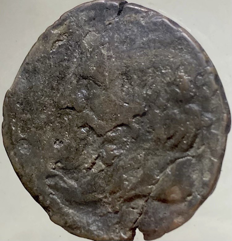 Large Numidian Empire 203BC-148BC Carthage Era Coin Punic War Rare Numidia