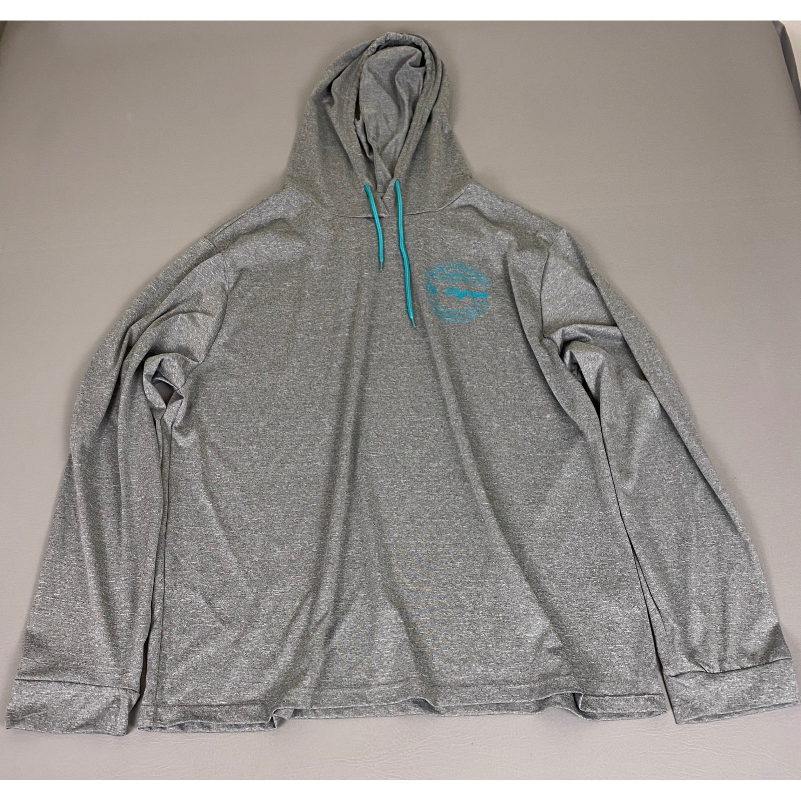 Mt Olympus Wisconsin Dells Hoodie Men\'s Size XL Gray Heathered Polyester
