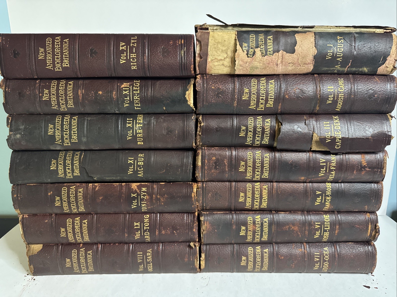 1890s New Americanized Encyclopedia Britanica Missing Volume 14 of 15 1890s New Americanized Encyclopedia Britanica Missing Volume 14 of 15