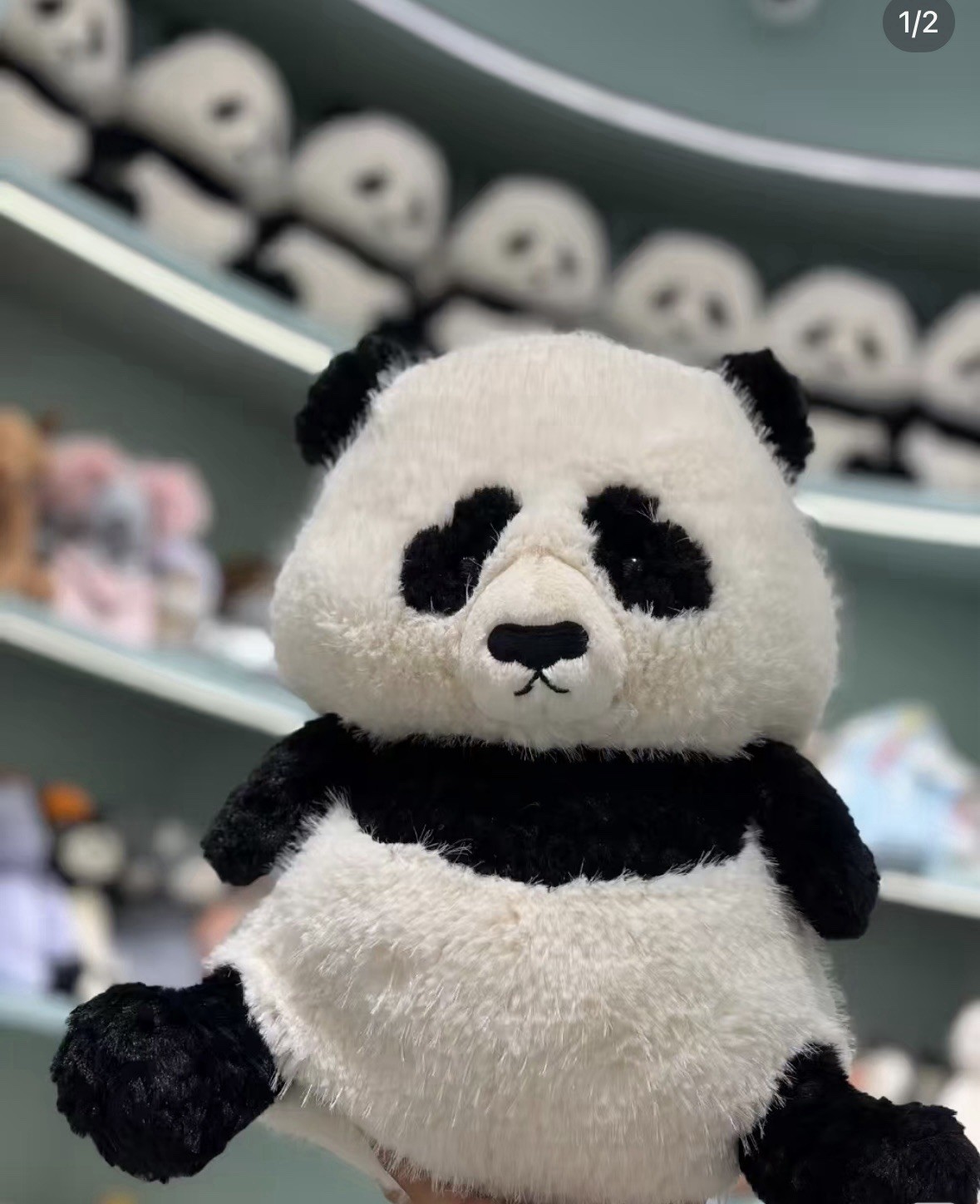 BNWT Jellycat NEW China Exclusive Panda - Pre order BNWT Jellycat NEW China Exclusive Panda - Pre order