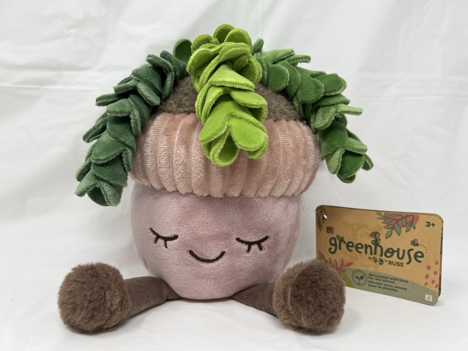 Greenhouse By Russ Plant Plushie Donkeys Tail Davis New With Tags Greenhouse By Russ Plant Plushie Donkeys Tail Davis New With Tags