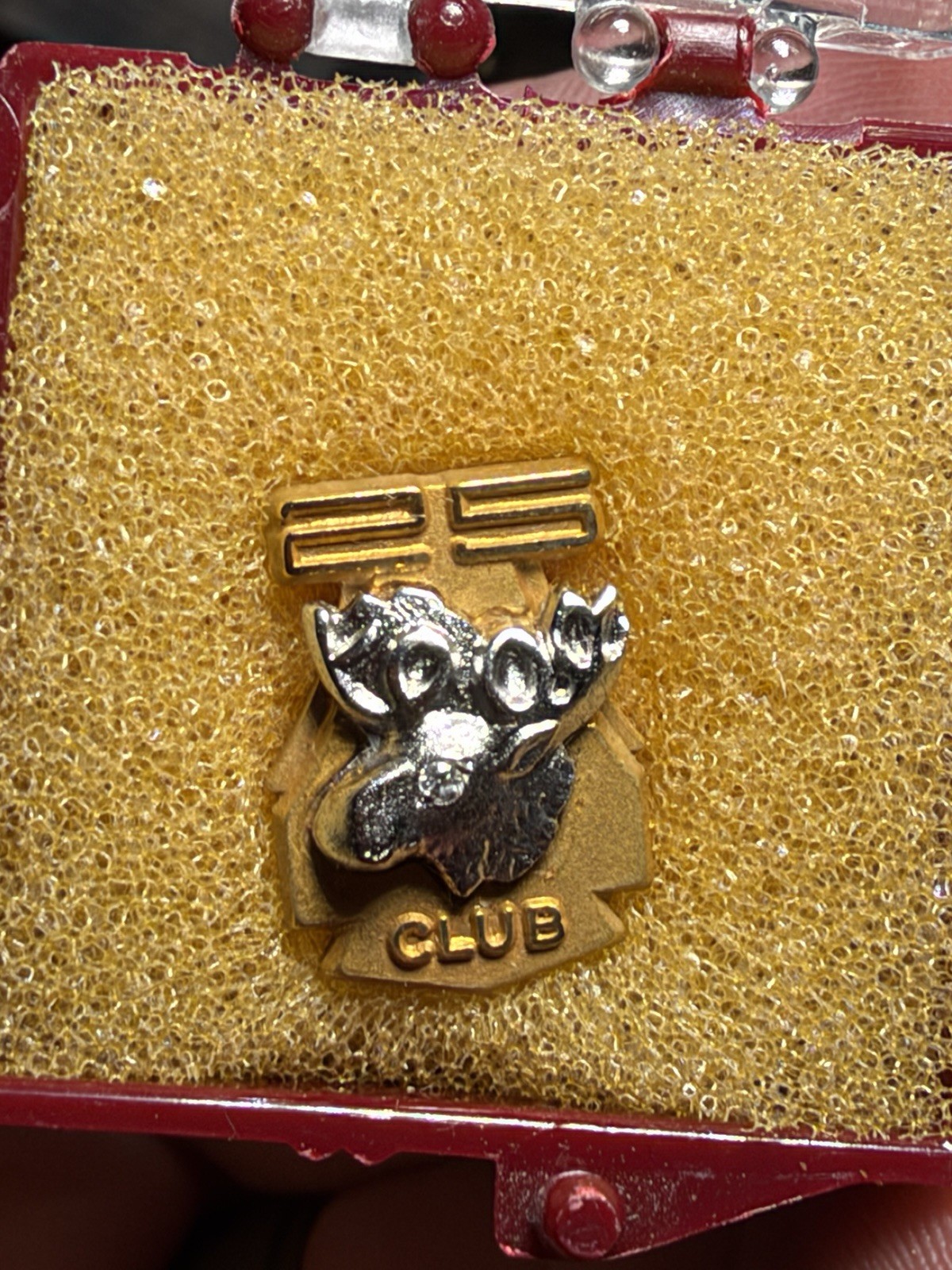 Vintage Moose Lodge 25 Club Lapel Pin 10k Yellow Gold And Stone Vintage Moose Lodge 25 Club Lapel Pin 10k Yellow Gold And Stone