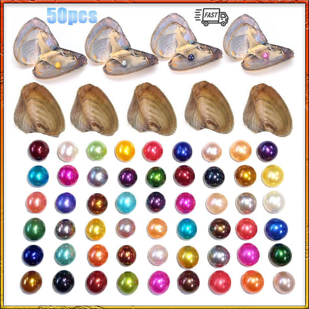 50x Fresh Oysters with Pearls Freshwater Pearl Individually Wrapped Love Gifts